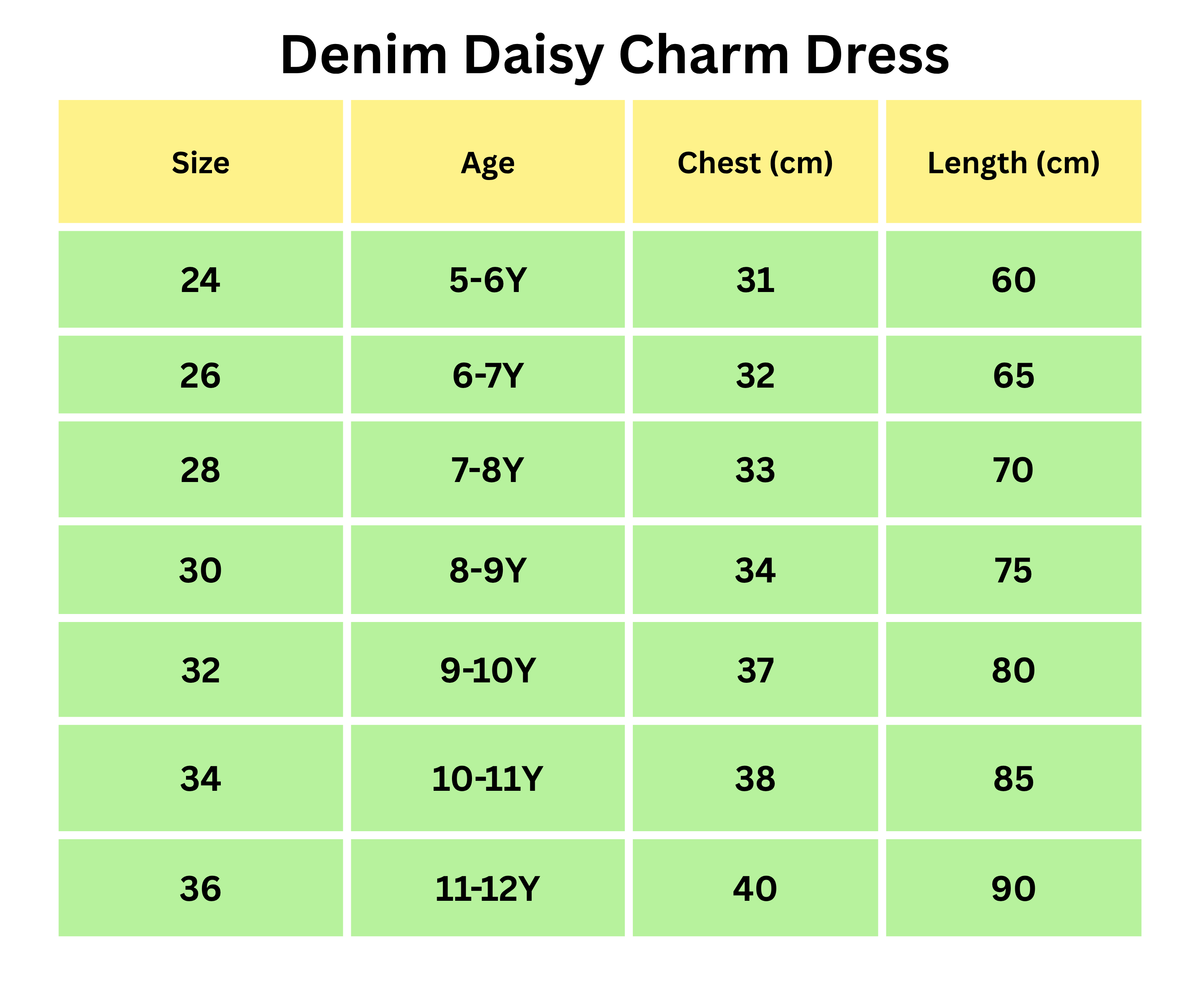 Denim Daisy Charm Dress